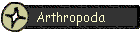Arthropoda