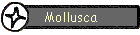 Mollusca